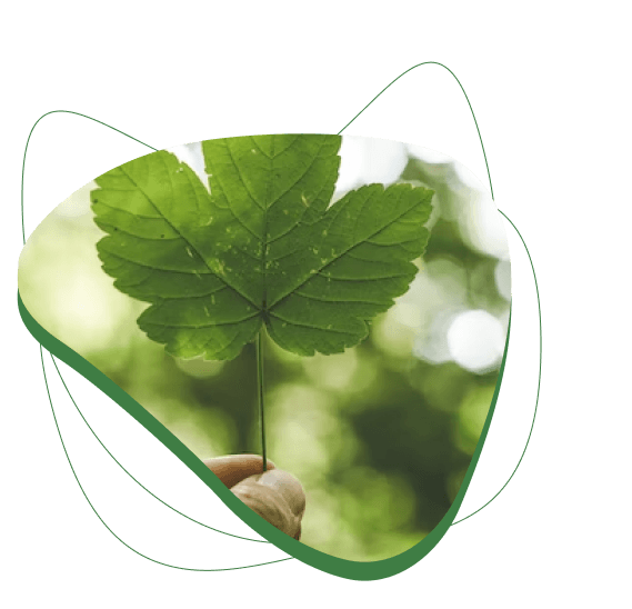 Remote AI & Data Teams Hire Vetted Talent in 2 Weeks